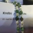 Krebs Sternzeichen Kugel Kinder Armketteli / Kinderhalskette
